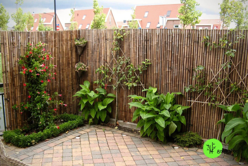 inspirace bambusový plot